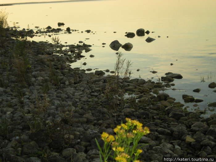 Единение с природой на острове Mackinac, MI