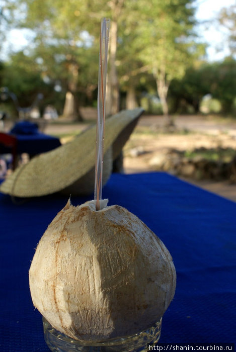 Есть перерыв — есть кокос! Провинция Тямпасак, Лаос