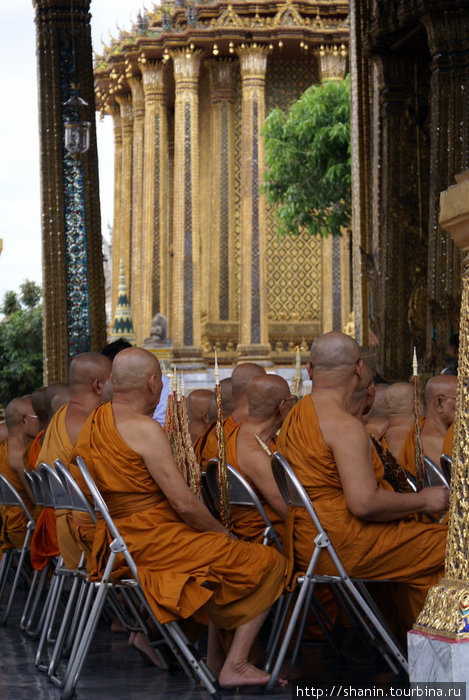 Не всем монахам хватило места в храме Бангкок, Таиланд