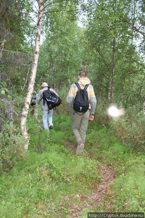 Почти на всех фото светящиеся блики — комары, которых подсвечивает вспышка. Кируна, Швеция