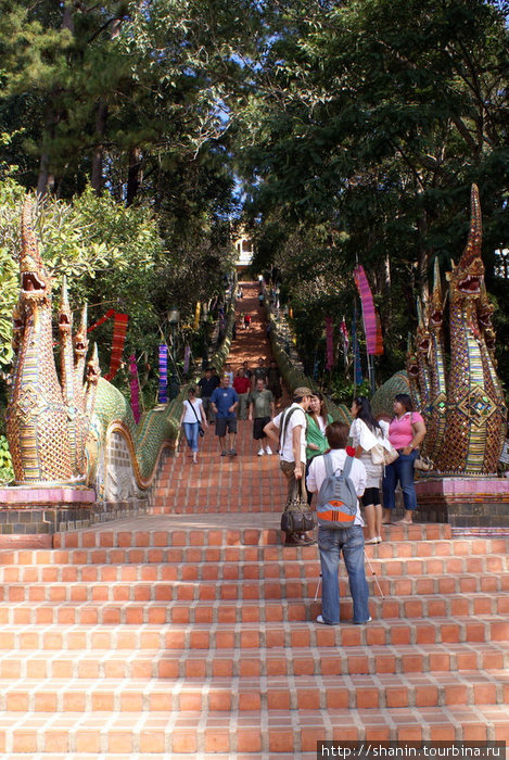 Лестница к храму Чиангмай, Таиланд