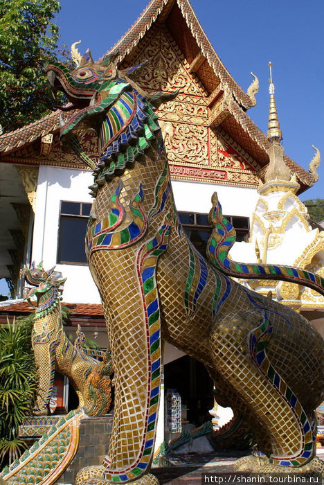 Священные львы Чиангмай, Таиланд