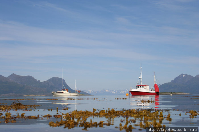 Фьорды — райское место для рыбака, горы закрывают от ветра и волн Стейген, Норвегия