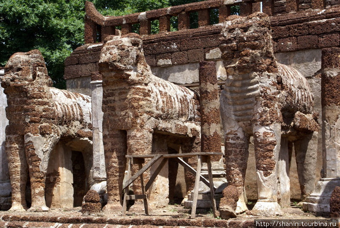 Слоны у стены Си-Сатчаналай Исторический Парк, Таиланд