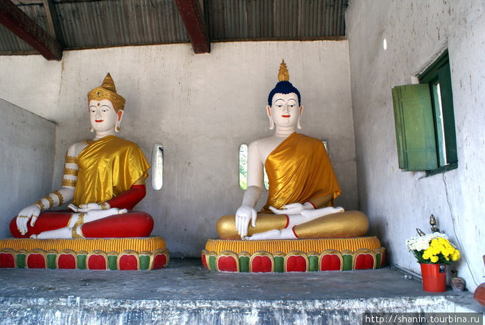 Два сидящих Будды Чиангмай, Таиланд