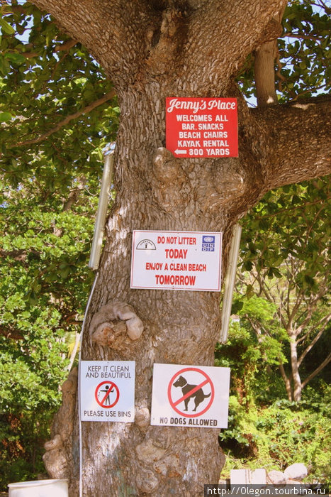 Дерево чистоты, что только не нарисуешь для поддержания порядка Гренада