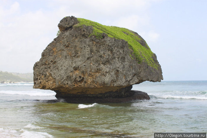 Камень торчащий из воды, волны подточили так, что теперь он похож на голову человека Басшеба, Барбадос