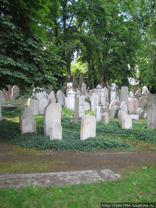 еврейское кладбище на Жижкове — совершенно свободно:) Прага, Чехия