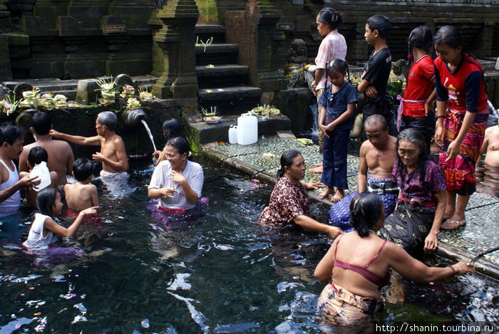 Паломники в священном пруду Убуд, Индонезия