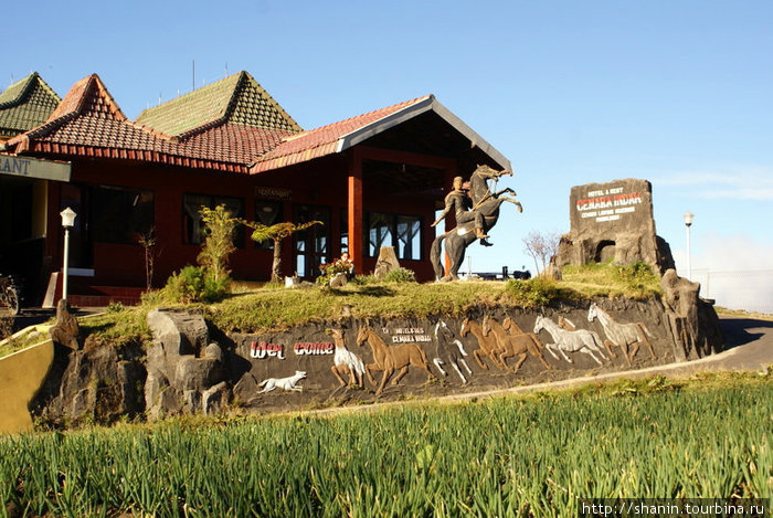 Отель и поле лука Проболингго, Индонезия