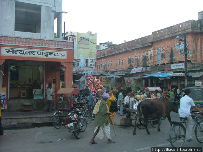 Розовый город Джайпур, Индия