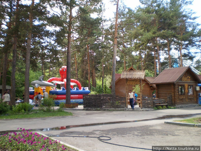 Новосибирский зоопарк в летний день Новосибирск, Россия