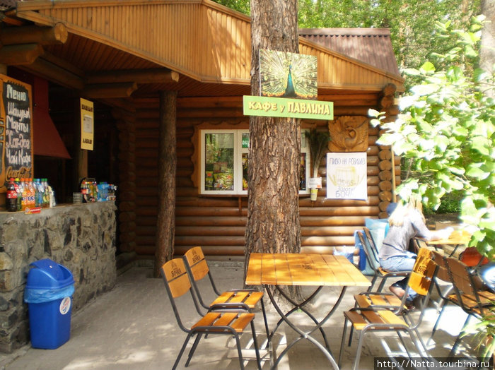 Кафе У павлина Новосибирск, Россия