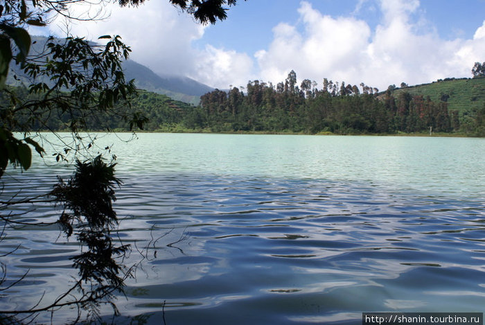 Озеро Телага Варна Тегал, Индонезия