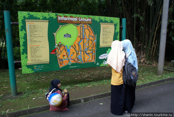 У схемы ботанического сада Кебун-Райя Богор, Индонезия