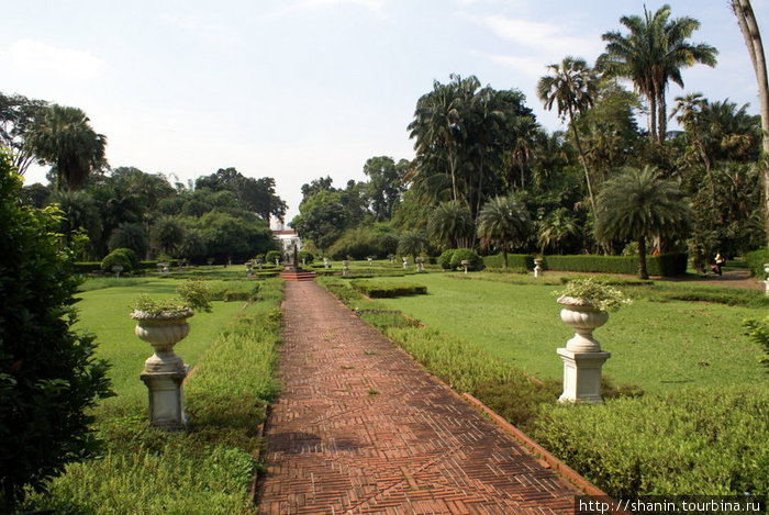 В ботаническом саду Кебун-Райя Богор, Индонезия