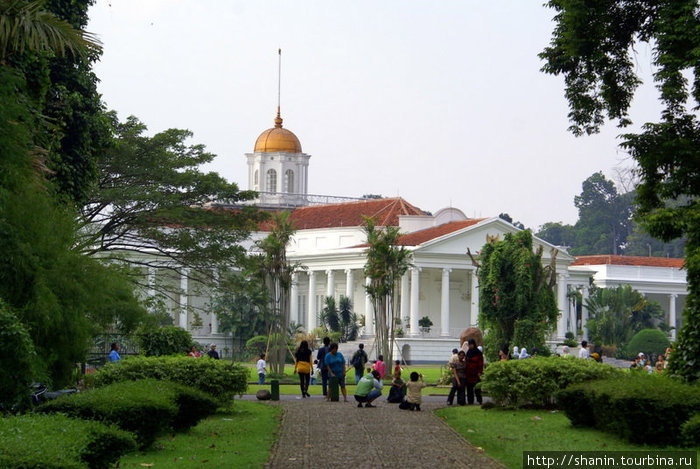 Дорожка у Губернаторского дворца Богор, Индонезия
