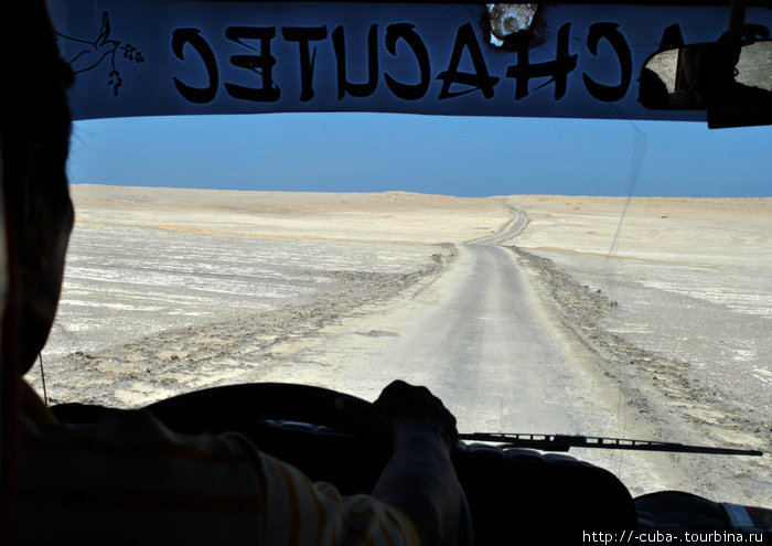 километры песков Острова Бальестас Национальный Резерват, Перу