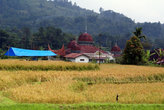 Деревенская мечеть на краю рисового поля