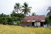 Дом на рисовом поле