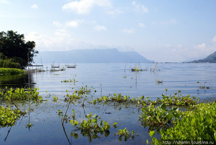 Вид на озеро Тоба Парапат, Индонезия