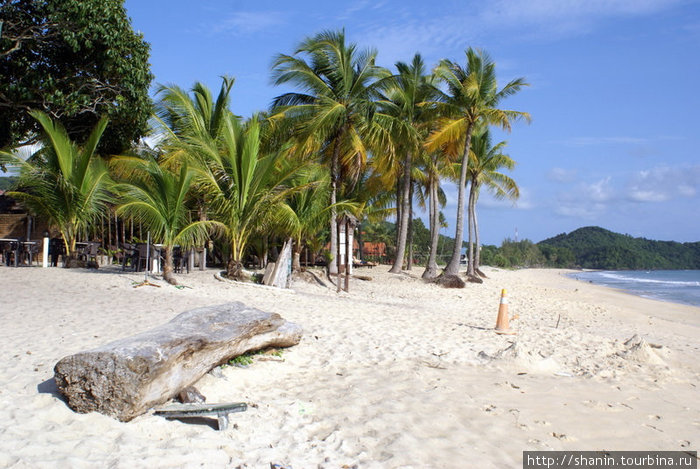 Пальмы на песчаном пляже Лангкави остров, Малайзия