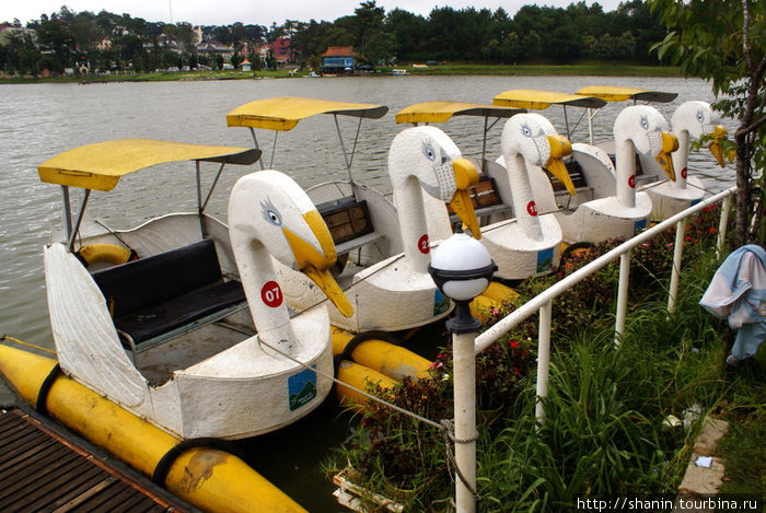 Прогулочные лодки на берегу озера Далат, Вьетнам