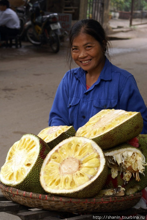Торговка плодами джек-фрута Ханой, Вьетнам