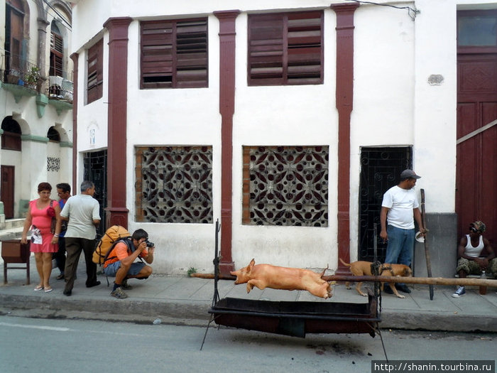 Свиней жарят прямо на улице Камагуэй, Куба