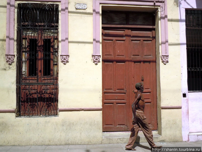Проходящий мимо — коричневый на коричневом Камагуэй, Куба
