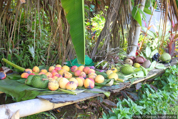 Фрукты... Самые вкусные манго я встретил именно на Доминике, на Карибской территории Доминика