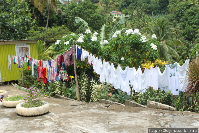 Теперь индейцы ходят в одежде и её приходится стирать Округ Сент-Эндрю, Доминика