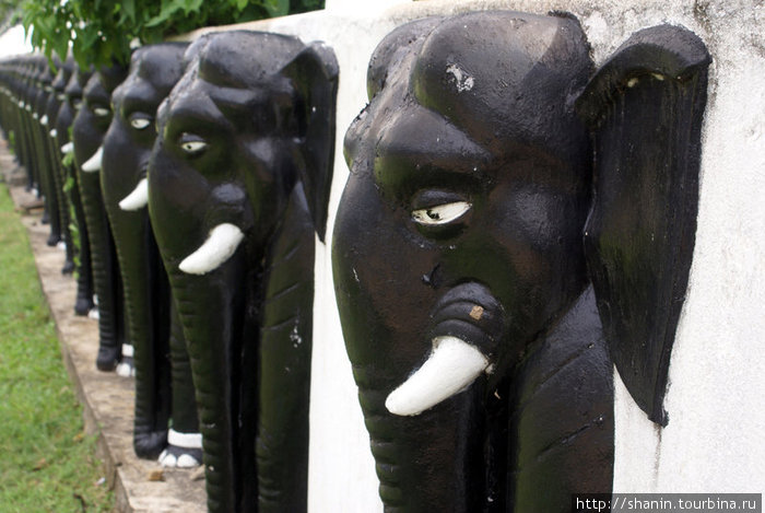 Слоны на ограде монастыря Матале, Шри-Ланка