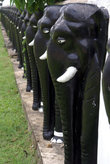 Черные слоны с белыми бивнями