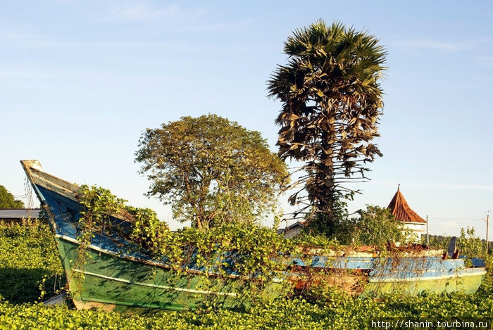 Заросшая травой лодка Тринкомали, Шри-Ланка