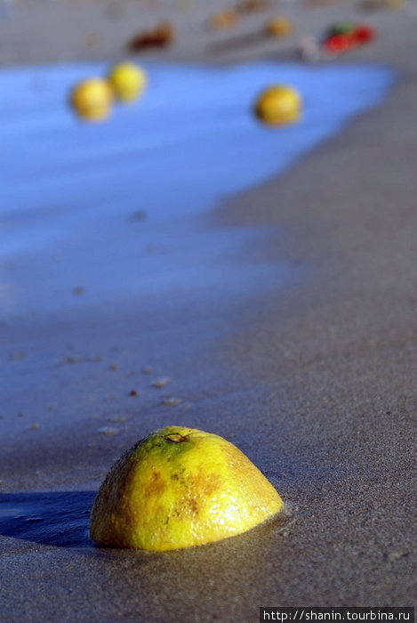 Грейпфруты на пляже