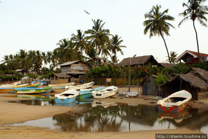 Лодки у деревни Аругам, Шри-Ланка