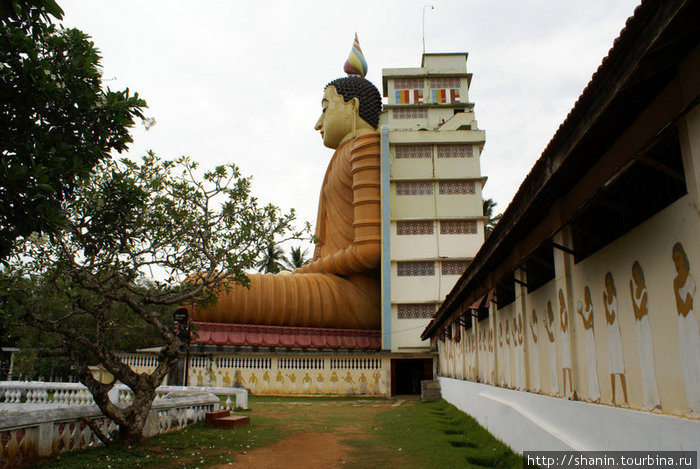 Будда и длинная стена Диквелла, Шри-Ланка