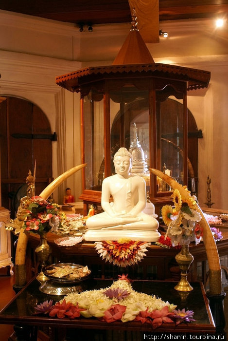 Будда на алтаре Канди, Шри-Ланка