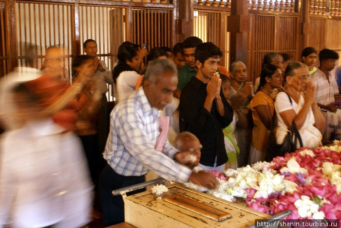 Паломники в храме Канди, Шри-Ланка