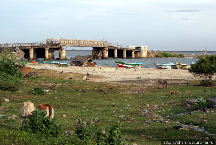 Мост на остров Маннар, Шри-Ланка