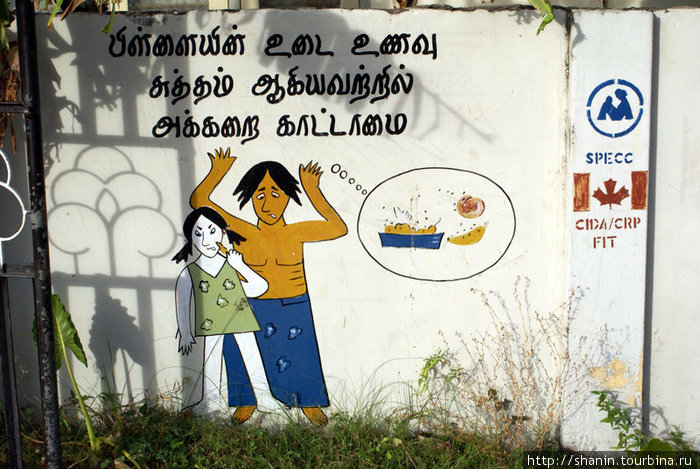 Рисунок на стене Маннар, Шри-Ланка