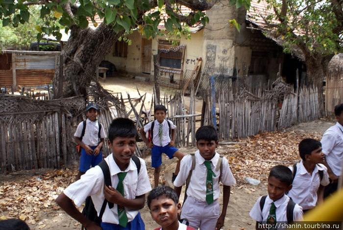 Школьники после уроков Маннар, Шри-Ланка