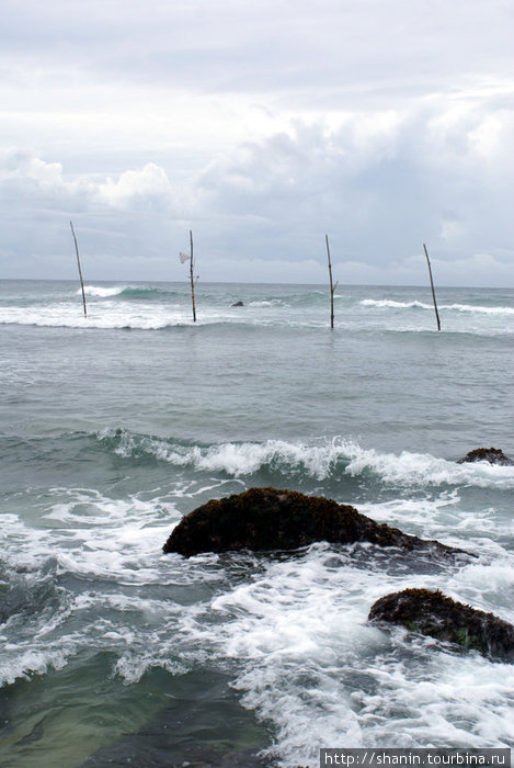 Шесты — для рыбаков Матара, Шри-Ланка