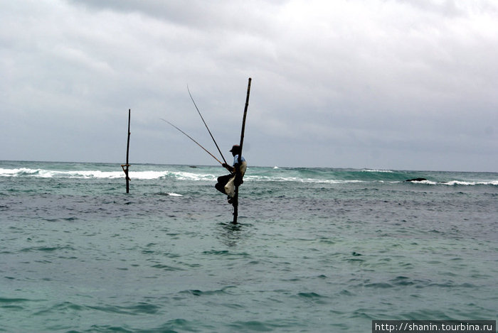 Рыбак Матара, Шри-Ланка