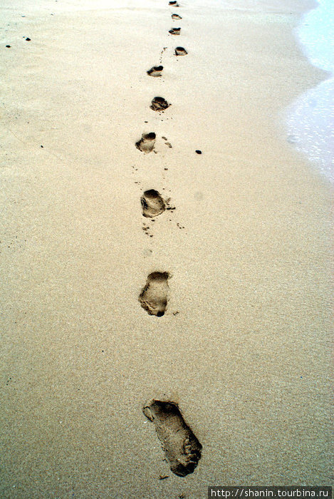 Следы на песке Матара, Шри-Ланка