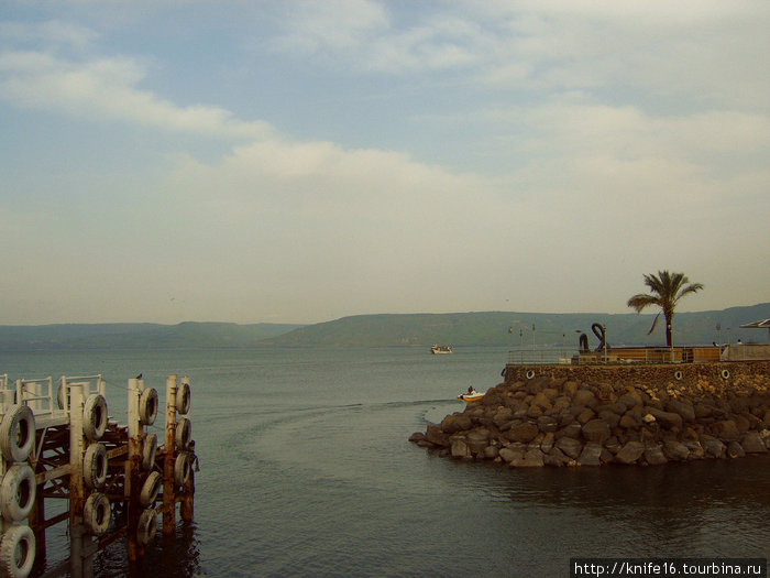 На берегу Галилейского моря(озеро Кинерет) Тверия, Израиль