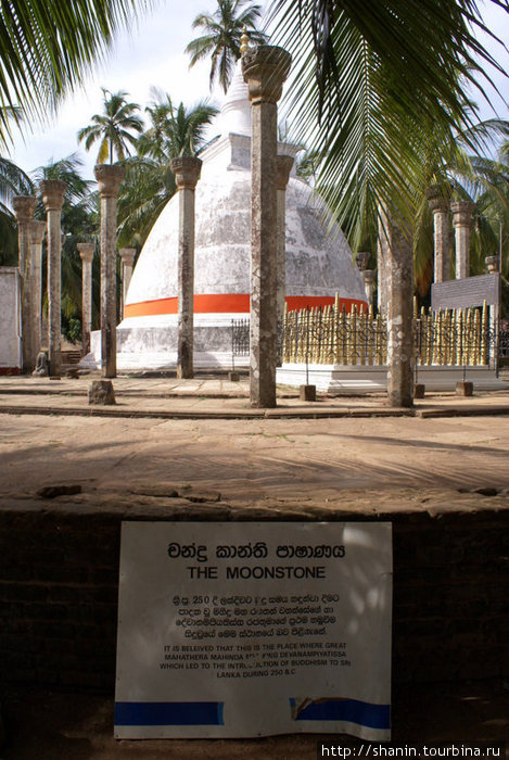Лунный камень у ступы Амбасталедагаба — ступа \Мангового дерева\ Михинтале, Шри-Ланка