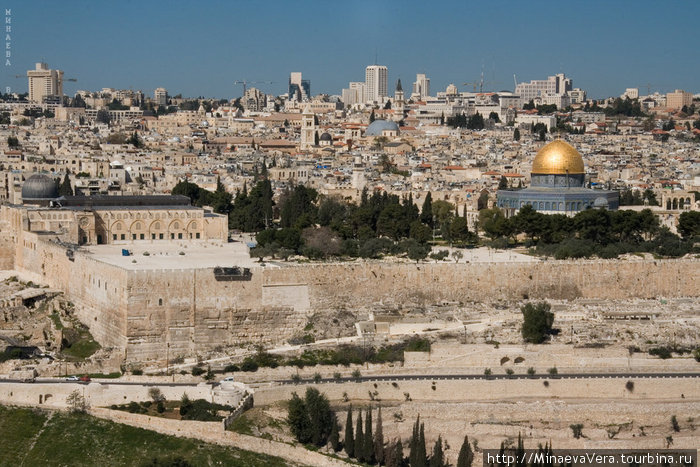 Вид на старый город Иерусалим с Елеонской горы Израиль