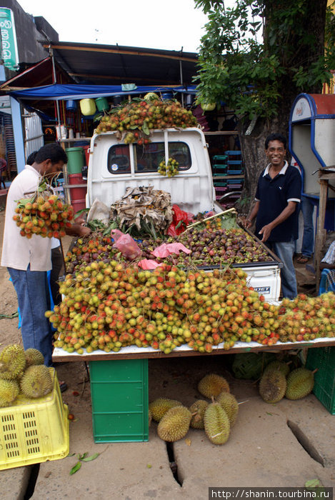 На уличном рынке Тангалла, Шри-Ланка